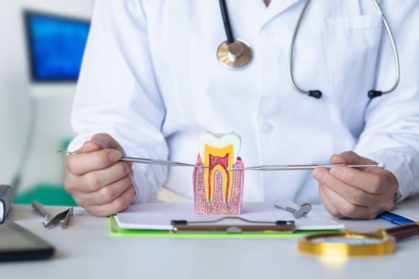 Best Emergency Orthodontic Repairs in Sandston, VA